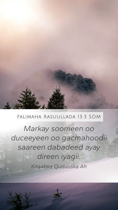 Falimaha Rasuullada 13:3 SOM Bible Verse Image