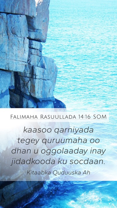 Falimaha Rasuullada 14:16 SOM Bible Verse Image