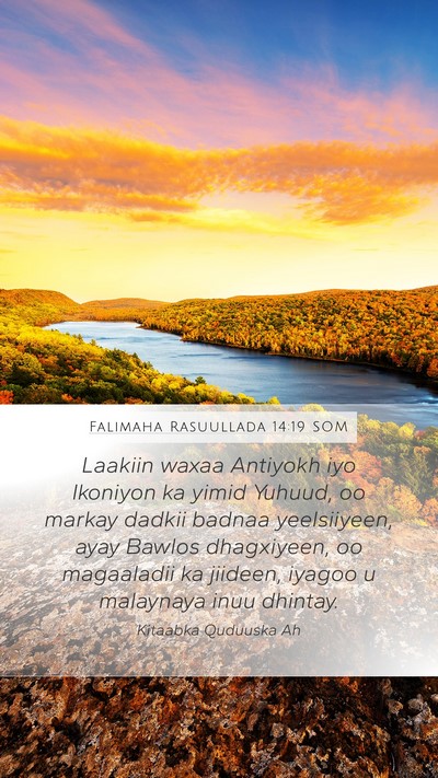 Falimaha Rasuullada 14:19 SOM Bible Verse Image