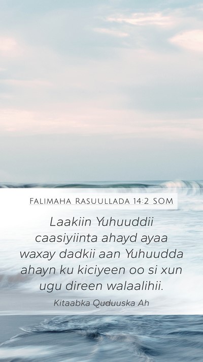 Falimaha Rasuullada 14:2 SOM Bible Verse Image