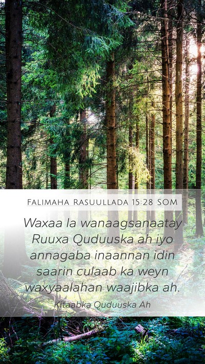 Falimaha Rasuullada 15:28 SOM Bible Verse Image