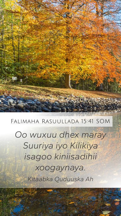 Falimaha Rasuullada 15:41 SOM Bible Verse Image