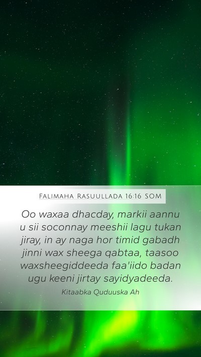 Falimaha Rasuullada 16:16 SOM Bible Verse Image