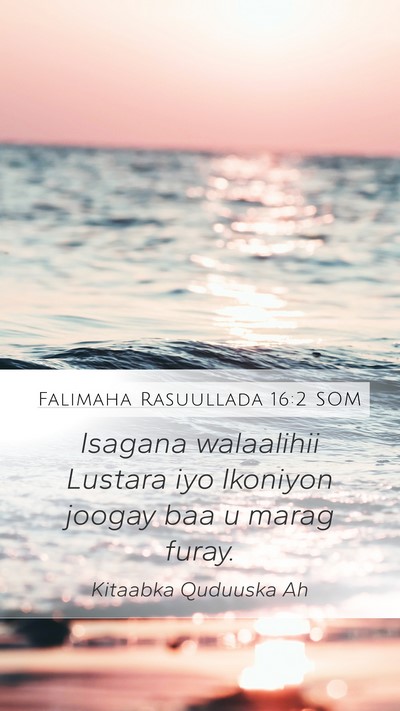 Falimaha Rasuullada 16:2 SOM Mobile Phone Wallpaper - Isagana walaalihii Lustara iyo Ikoniyon joogay - Mobile Bible Verse Wallpaper