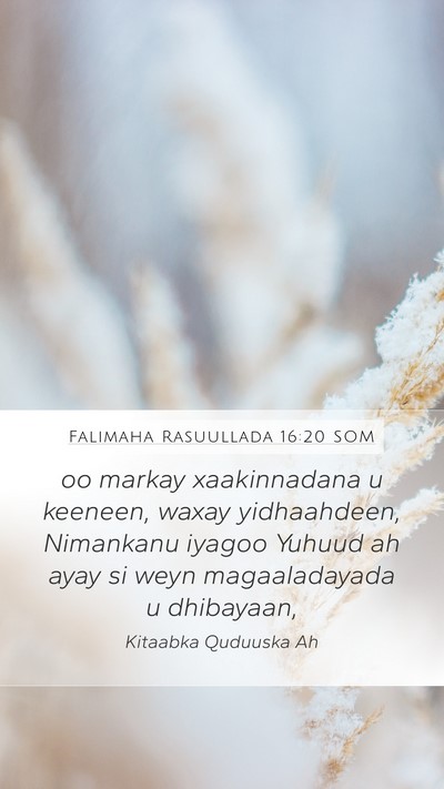 Falimaha Rasuullada 16:20 SOM Bible Verse Image