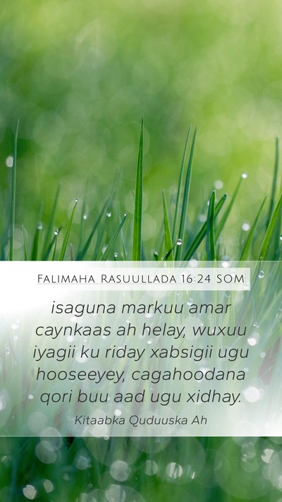 Falimaha Rasuullada 16:24 SOM Bible Verse Image