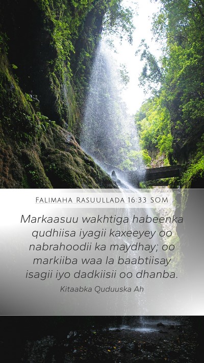 Falimaha Rasuullada 16:33 SOM Bible Verse Image