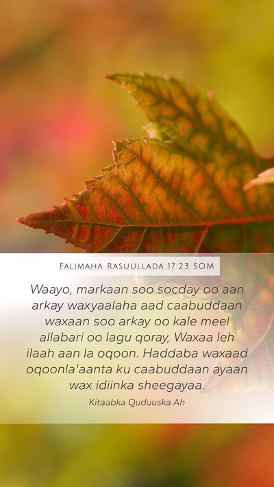 Falimaha Rasuullada 17:23 SOM Bible Verse Image