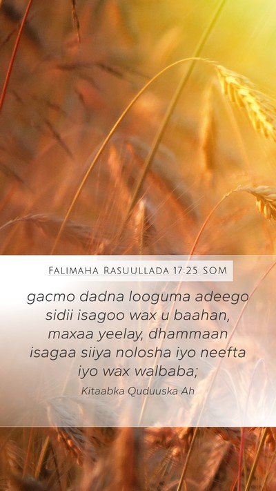 Falimaha Rasuullada 17:25 SOM Bible Verse Image