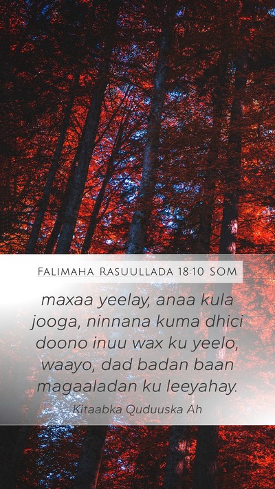 Falimaha Rasuullada 18:10 SOM Bible Verse Image