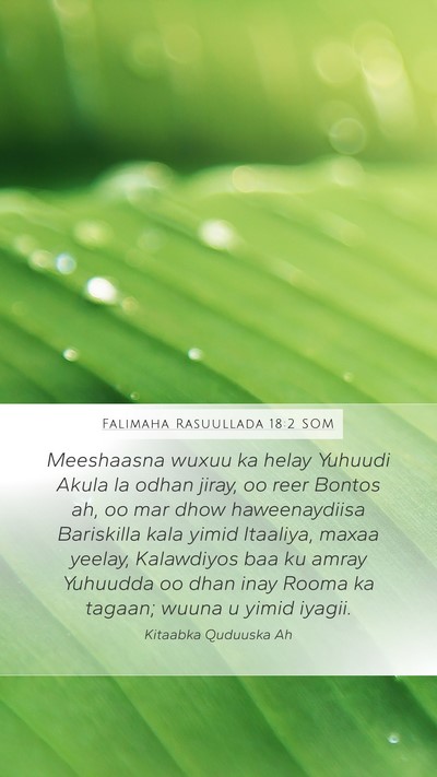 Falimaha Rasuullada 18:2 SOM Bible Verse Image