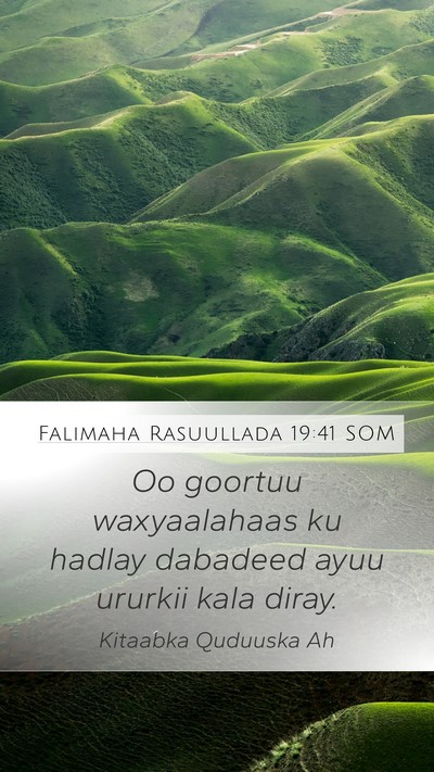 Falimaha Rasuullada 19:41 SOM Mobile Phone Wallpaper - Oo goortuu waxyaalahaas ku hadlay dabadeed ayuu - Mobile Bible Verse Wallpaper