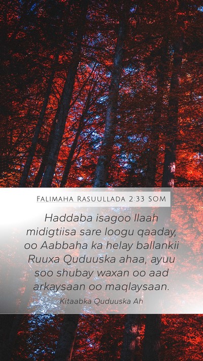 Falimaha Rasuullada 2:33 SOM Bible Verse Image