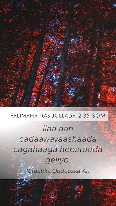 Falimaha Rasuullada 2:35 SOM Bible Verse Image