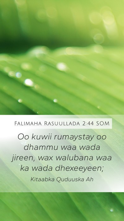 Falimaha Rasuullada 2:44 SOM Bible Verse Image