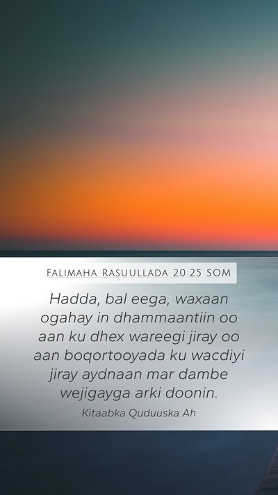 Falimaha Rasuullada 20:25 SOM Bible Verse Image