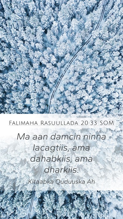 Falimaha Rasuullada 20:33 SOM Bible Verse Image