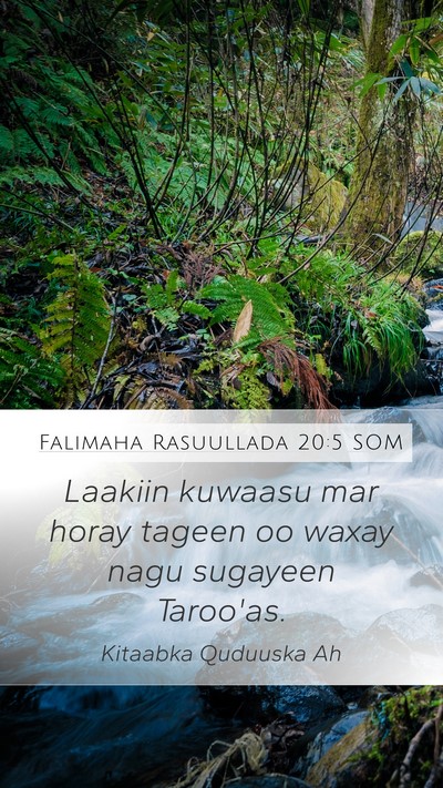 Falimaha Rasuullada 20:5 SOM Bible Verse Image