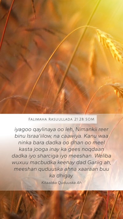 Falimaha Rasuullada 21:28 SOM Bible Verse Image
