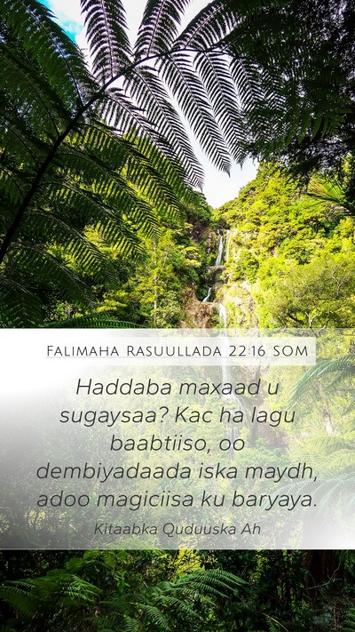Falimaha Rasuullada 22:16 SOM Bible Verse Image