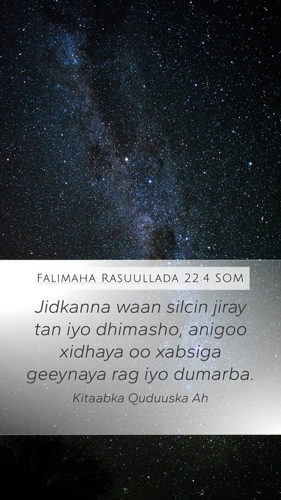Falimaha Rasuullada 22:4 SOM Mobile Phone Wallpaper - Jidkanna waan silcin jiray tan iyo dhimasho, - Mobile Bible Verse Wallpaper