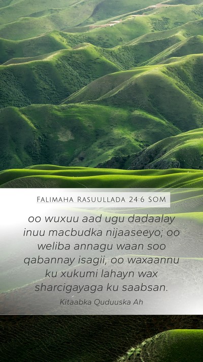 Falimaha Rasuullada 24:6 SOM Bible Verse Image