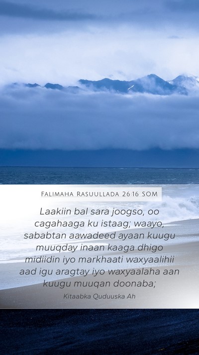 Falimaha Rasuullada 26:16 SOM Bible Verse Image