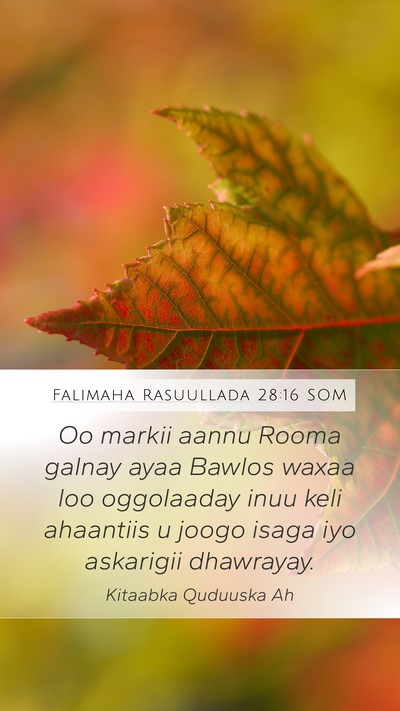 Falimaha Rasuullada 28:16 SOM Bible Verse Image