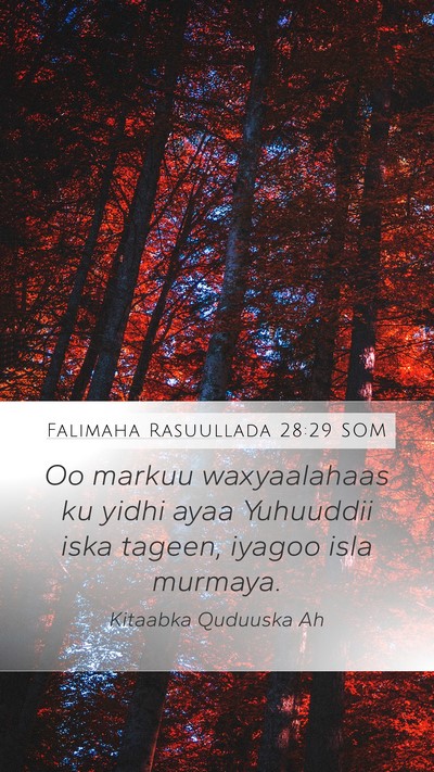 Falimaha Rasuullada 28:29 SOM Mobile Phone Wallpaper - Oo markuu waxyaalahaas ku yidhi ayaa Yuhuuddii - Mobile Bible Verse Wallpaper