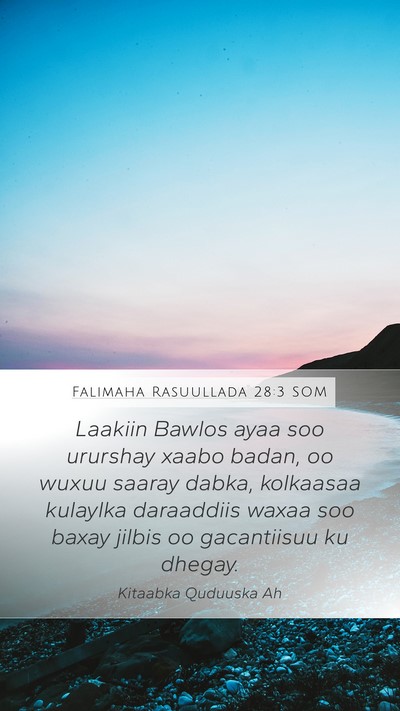 Falimaha Rasuullada 28:3 SOM Bible Verse Image