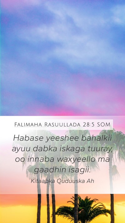 Falimaha Rasuullada 28:5 SOM Bible Verse Image