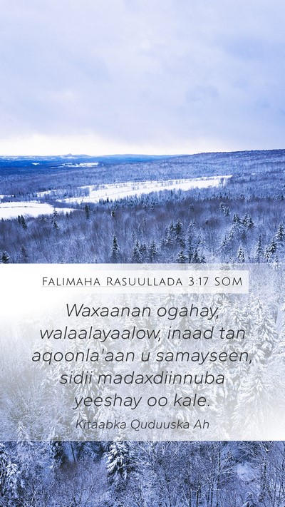 Falimaha Rasuullada 3:17 SOM Bible Verse Image