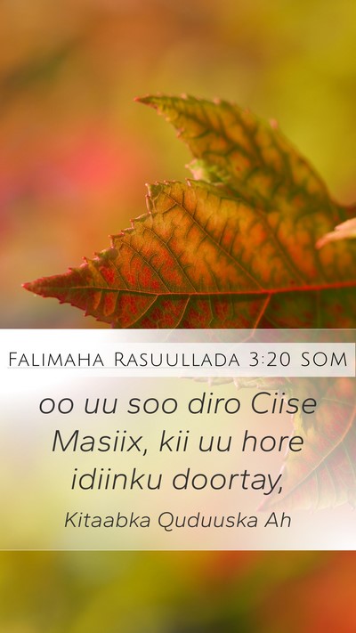 Falimaha Rasuullada 3:20 SOM Mobile Phone Wallpaper - oo uu soo diro Ciise Masiix, kii uu hore idiinku - Mobile Bible Verse Wallpaper