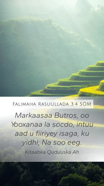 Falimaha Rasuullada 3:4 SOM Mobile Phone Wallpaper - Markaasaa Butros, oo Yooxanaa la socdo, intuu aad - Mobile Bible Verse Wallpaper