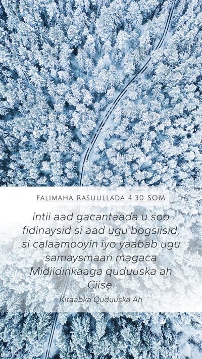 Falimaha Rasuullada 4:30 SOM Bible Verse Image