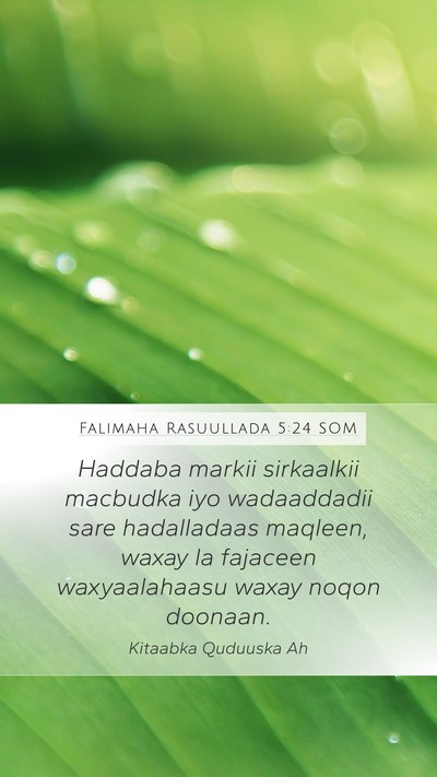 Falimaha Rasuullada 5:24 SOM Bible Verse Image