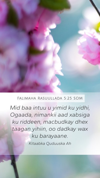 Falimaha Rasuullada 5:25 SOM Bible Verse Image