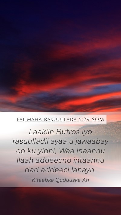 Falimaha Rasuullada 5:29 SOM Bible Verse Image