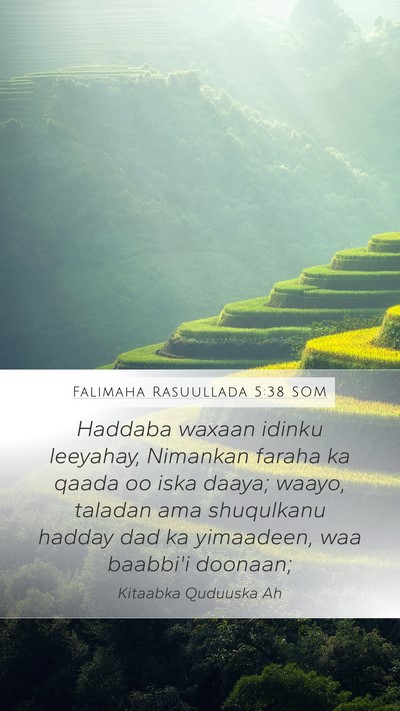 Falimaha Rasuullada 5:38 SOM Bible Verse Image