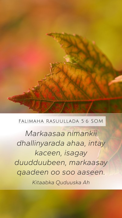 Falimaha Rasuullada 5:6 SOM Mobile Phone Wallpaper - Markaasaa nimankii dhallinyarada ahaa, intay - Mobile Bible Verse Wallpaper