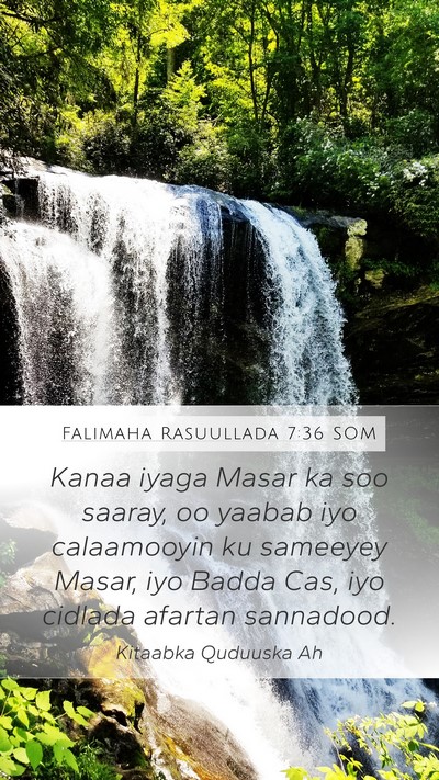 Falimaha Rasuullada 7:36 SOM Bible Verse Image