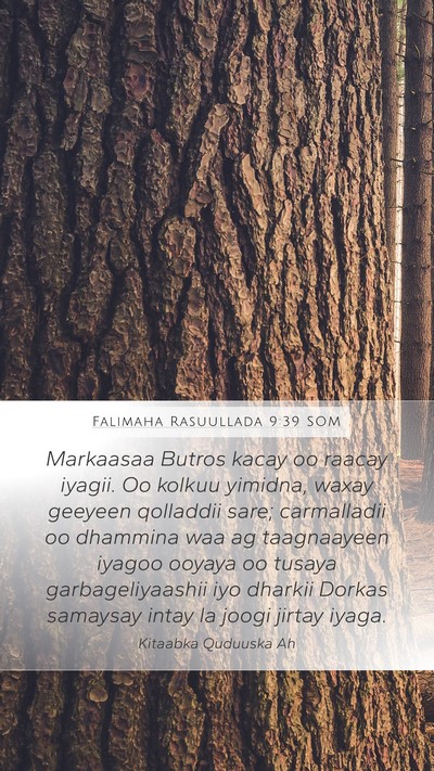 Falimaha Rasuullada 9:39 SOM Bible Verse Image