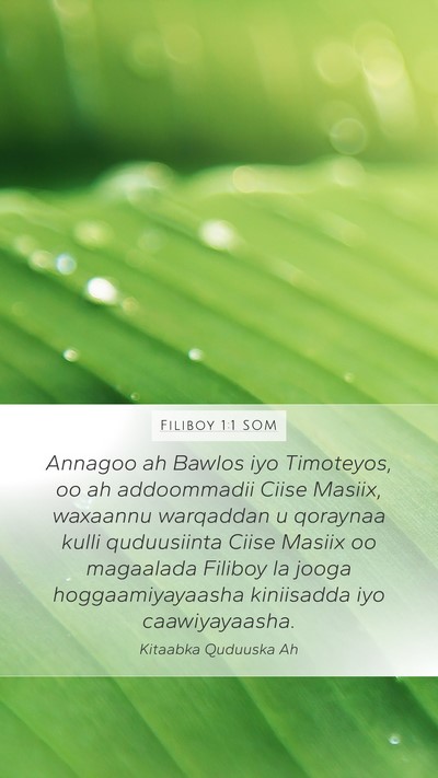 Filiboy 1:1 SOM Mobile Phone Wallpaper - Annagoo ah Bawlos iyo Timoteyos, oo ah - Mobile Bible Verse Wallpaper