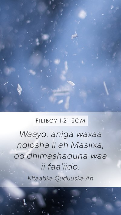 Filiboy 1:21 SOM Bible Verse Image