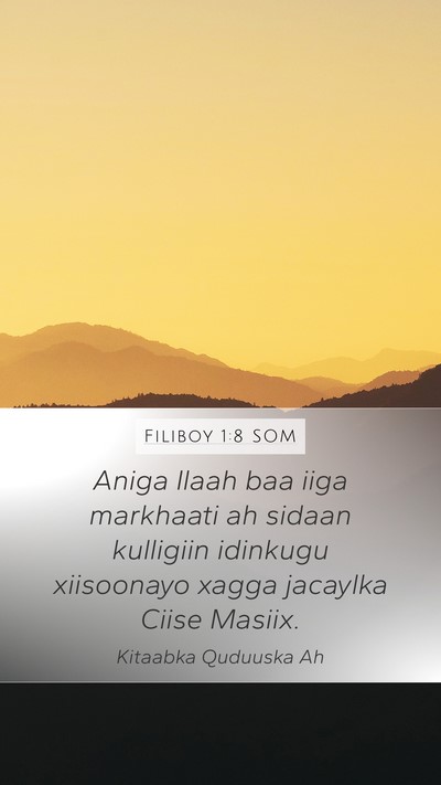 Filiboy 1:8 SOM Bible Verse Image