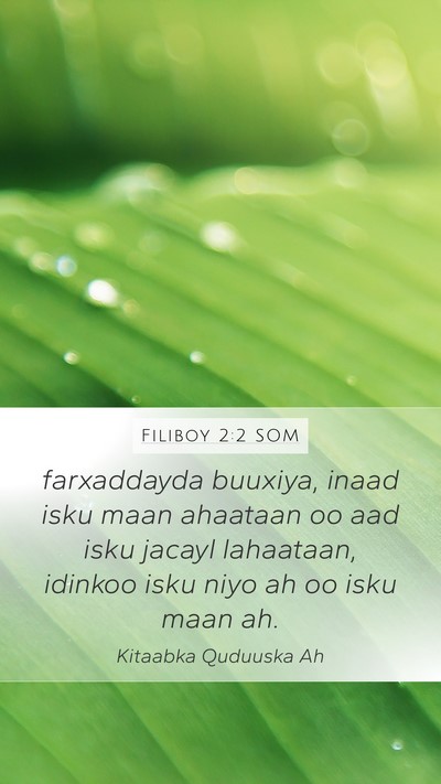 Filiboy 2:2 SOM Bible Verse Image