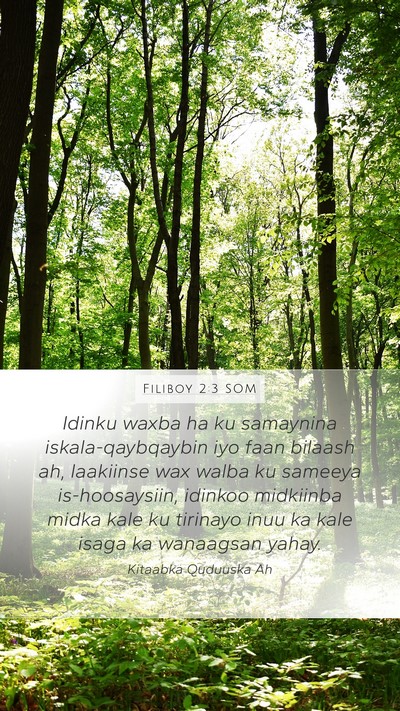 Filiboy 2:3 SOM Bible Verse Image