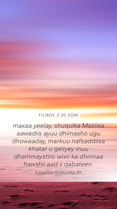 Filiboy 2:30 SOM Bible Verse Image