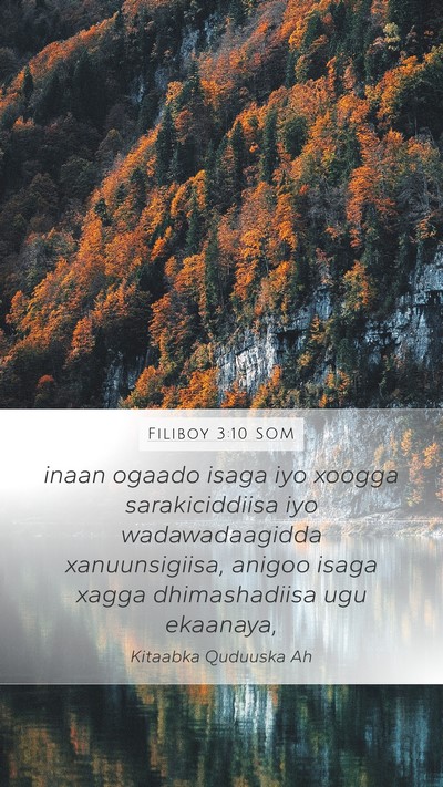 Filiboy 3:10 SOM Bible Verse Image
