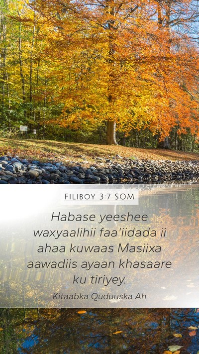 Filiboy 3:7 SOM Bible Verse Image